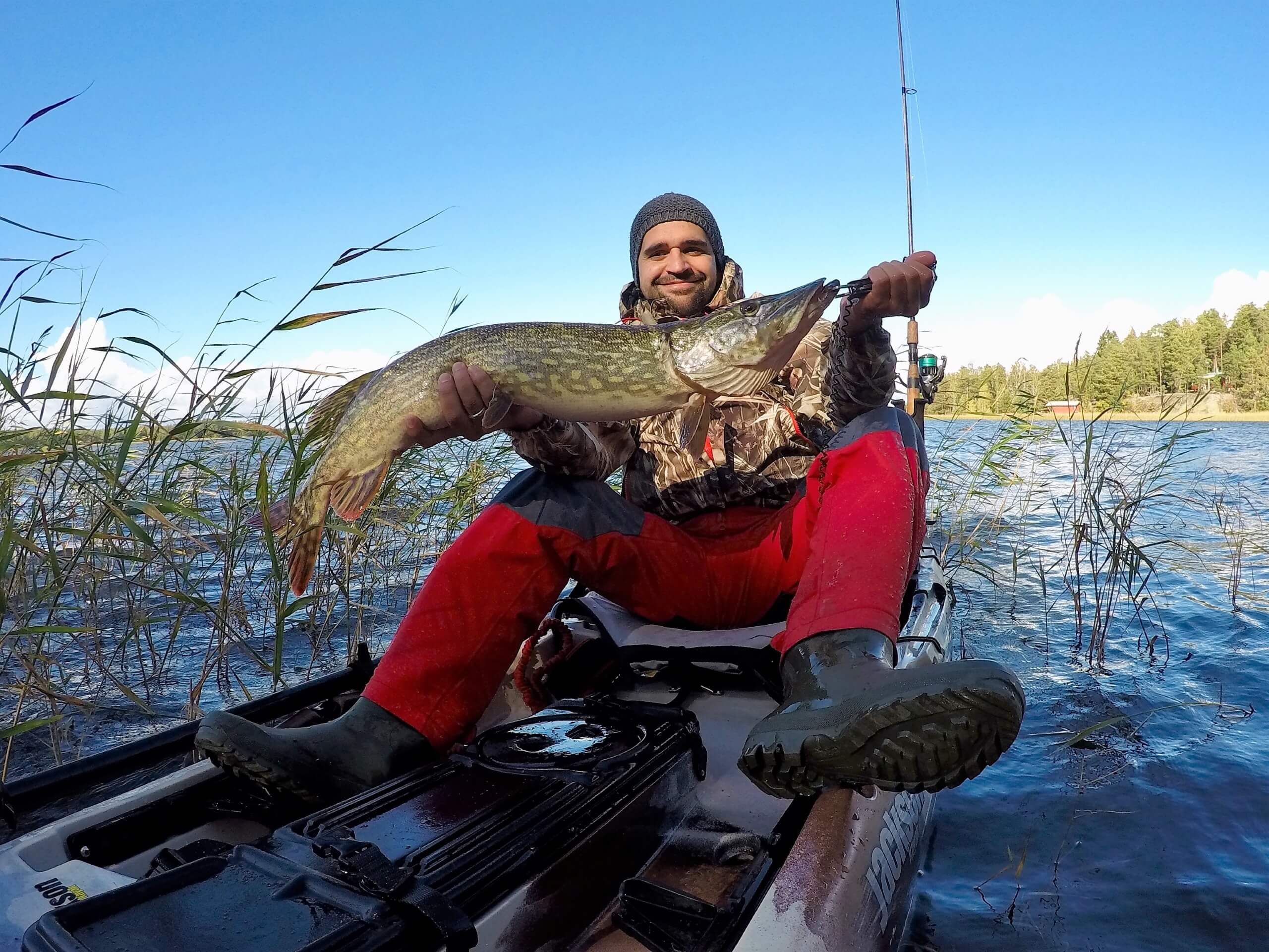 большая щука